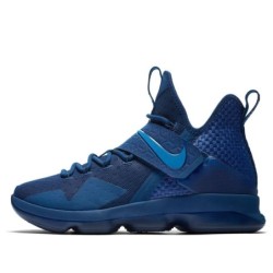 Nike LeBron 14 - Équilibre Puissance et Finesse